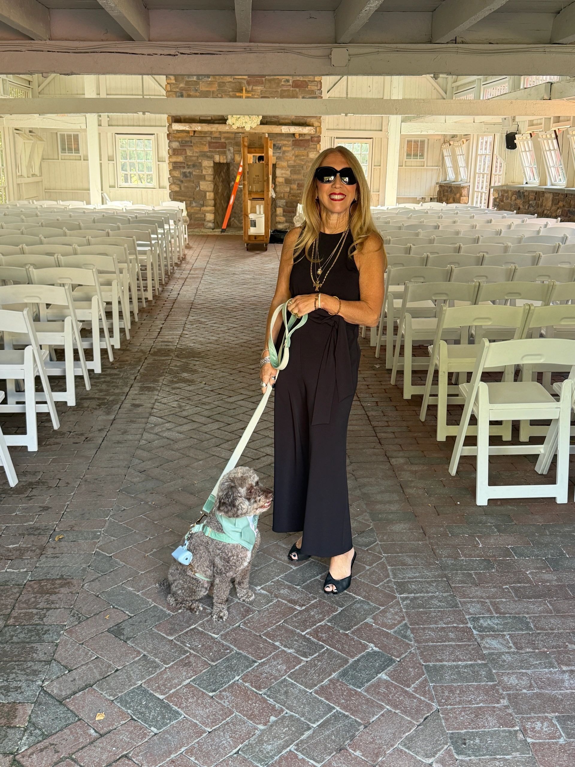 Pet Divas NJ pet care