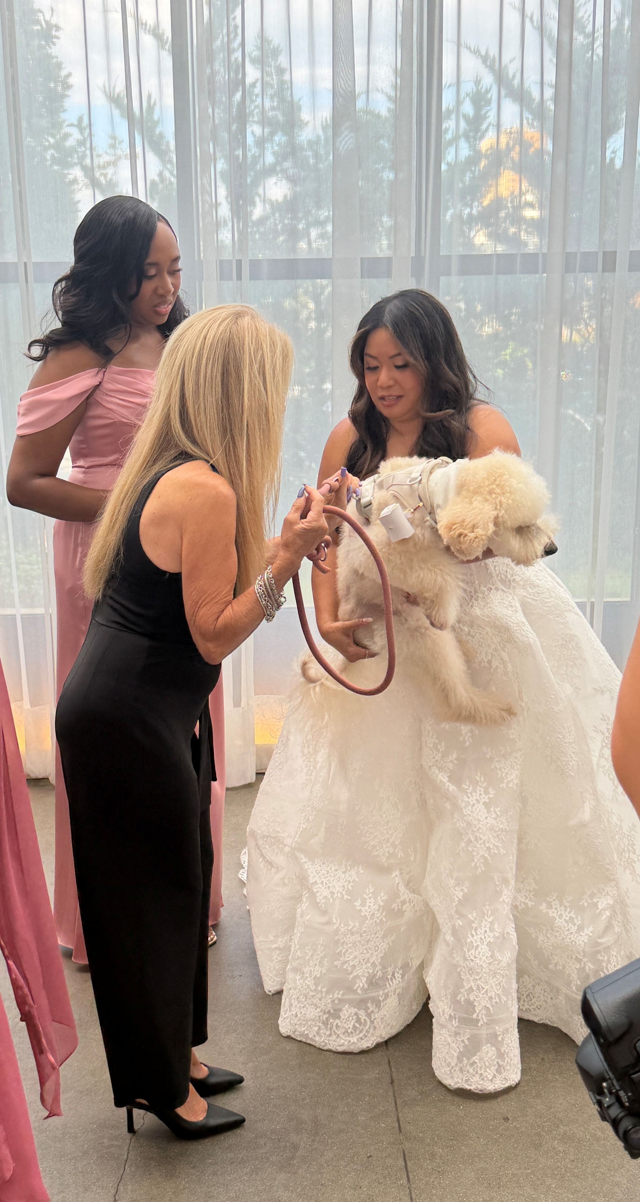 Pet Divas NJ pet care moment