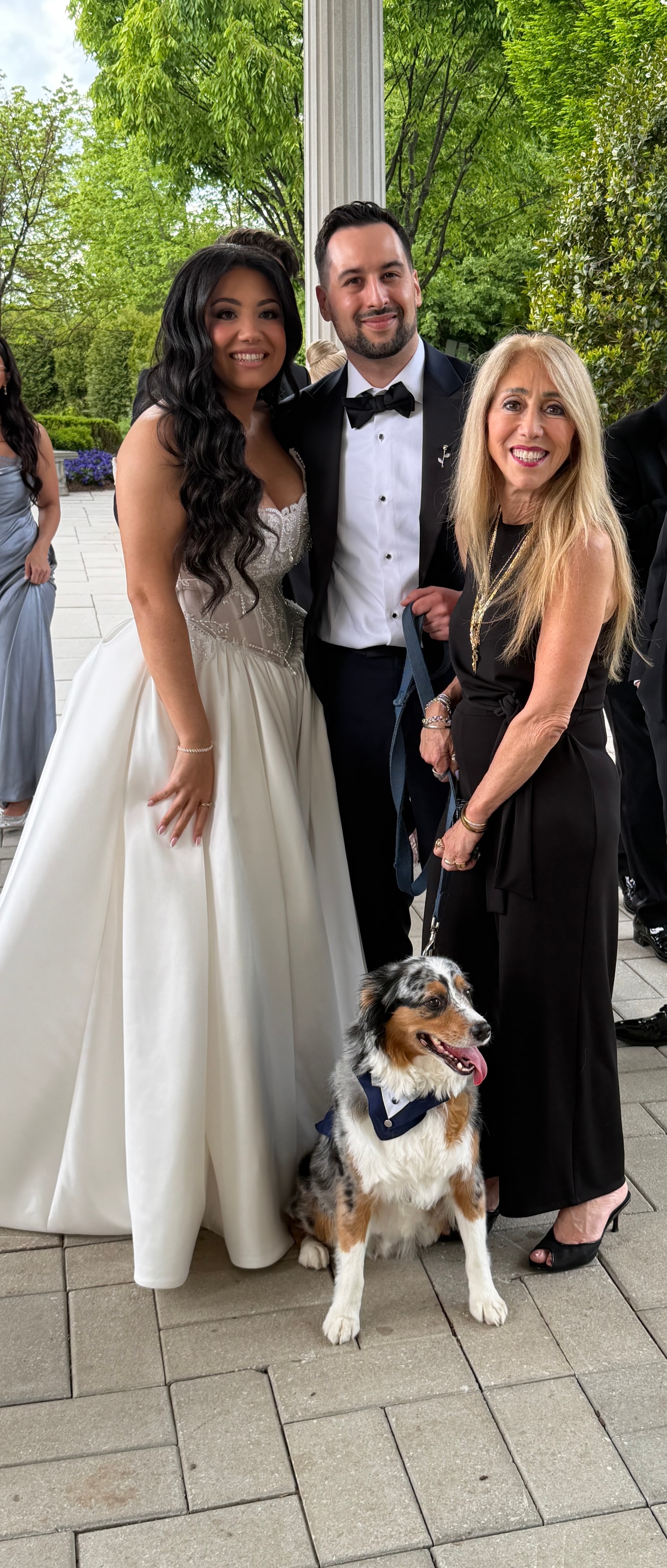 Pet Divas NJ pet care moment