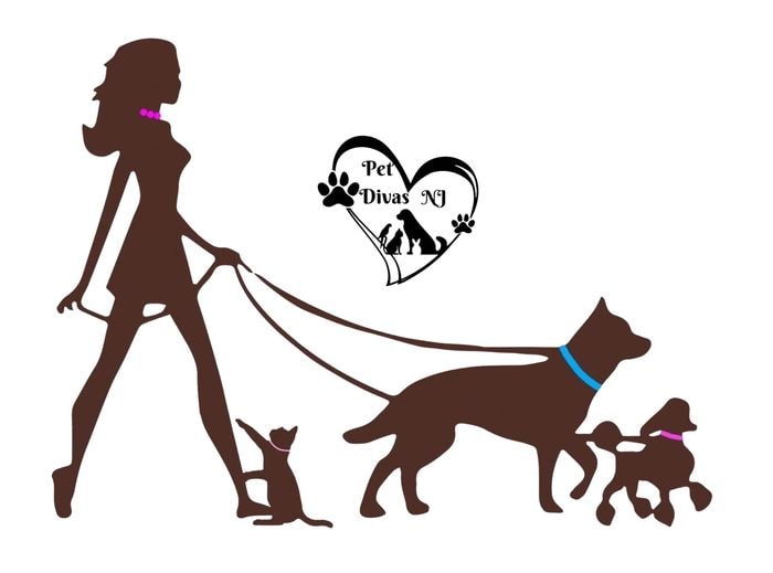 Pet Divas NJ dog walking